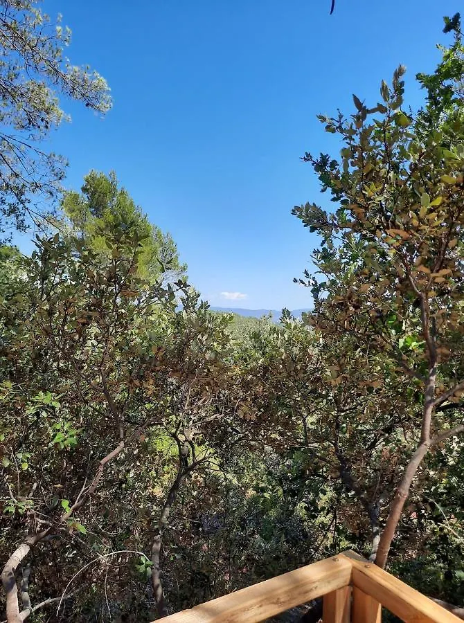 Cabane dans les arbres La Kaz aux Cigales Cuers France