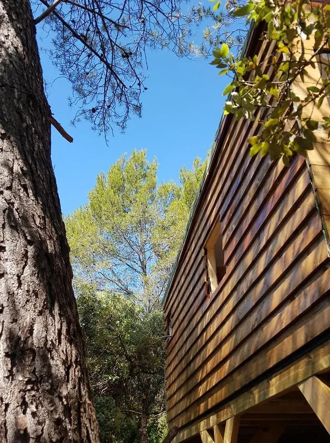 Cabane dans les arbres La Kaz aux Cigales Cuers