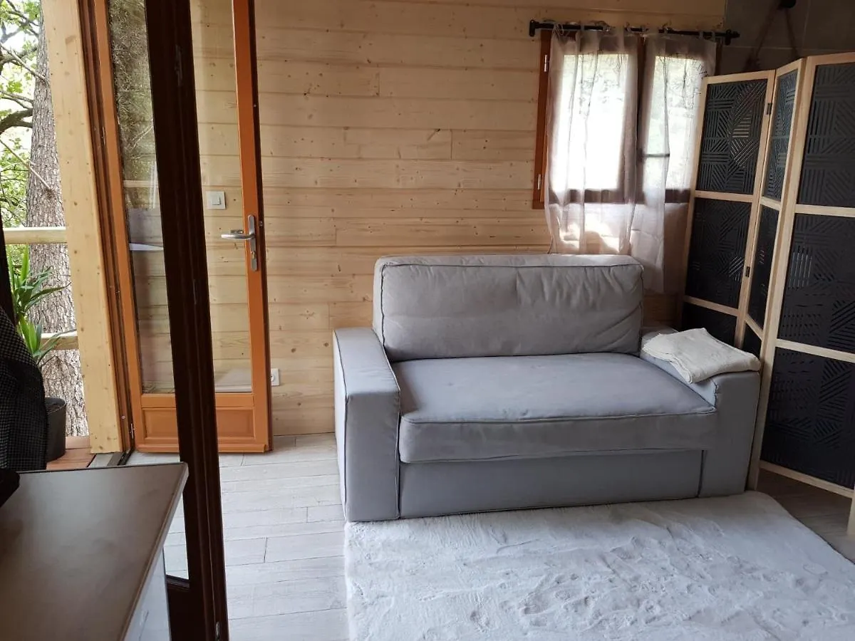 Cabane Dans Les Arbres 