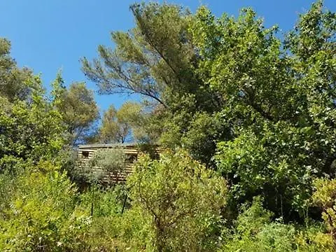Cabane Dans Les Arbres 