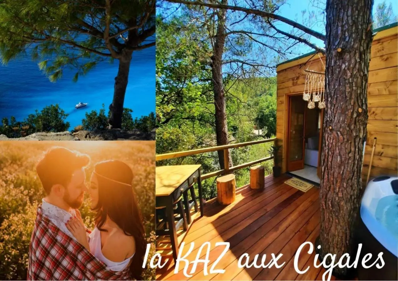Cabane Dans Les Arbres \